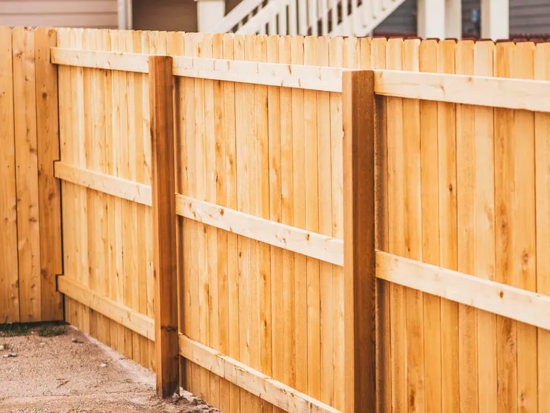 Cedar privacy fence around a backyard